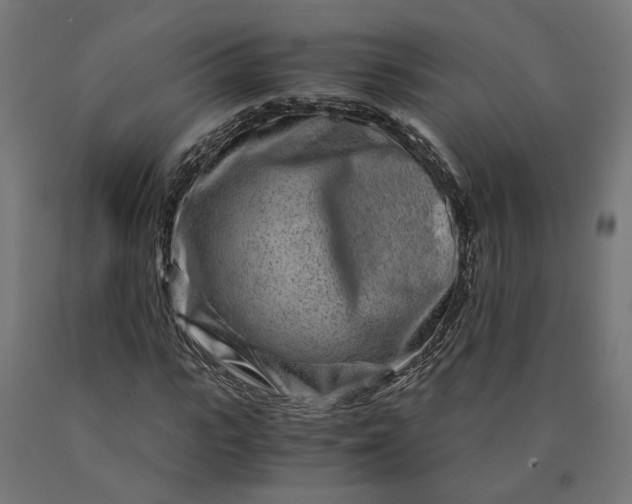 X0000090720919200708031457