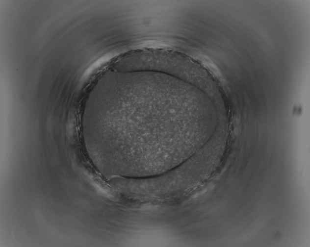 X0000090720920200708031457