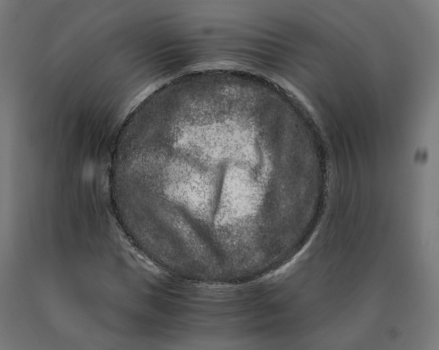 X0000090720921200708031457