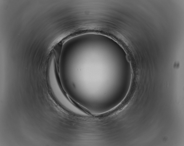 X0000090720922200708031457