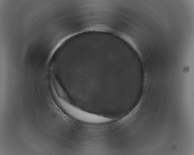 X0000090720923200708031457