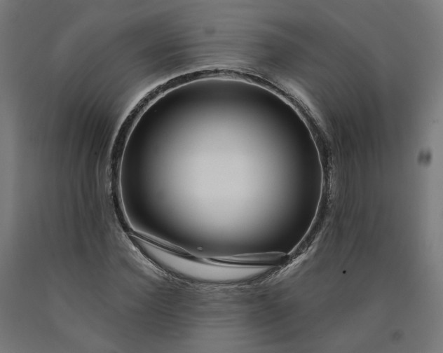 X0000090720924200708031457