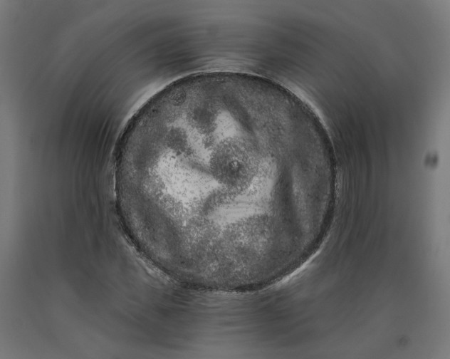X0000090720925200708031457
