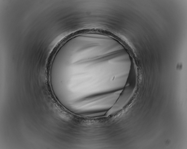 X0000090720927200708031457