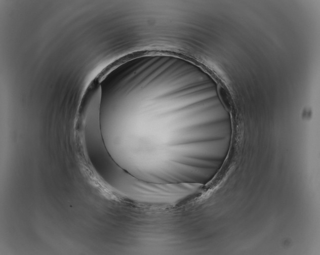 X0000090720928200708031457