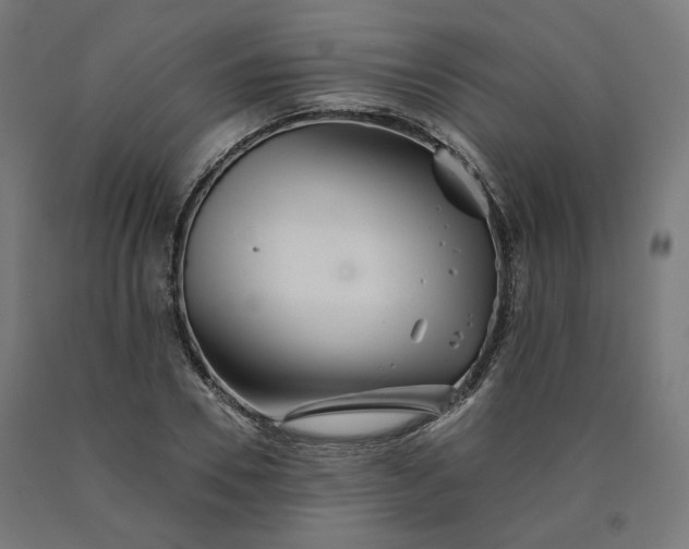 X0000090720930200708031457