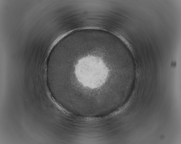 X0000090720933200708031457