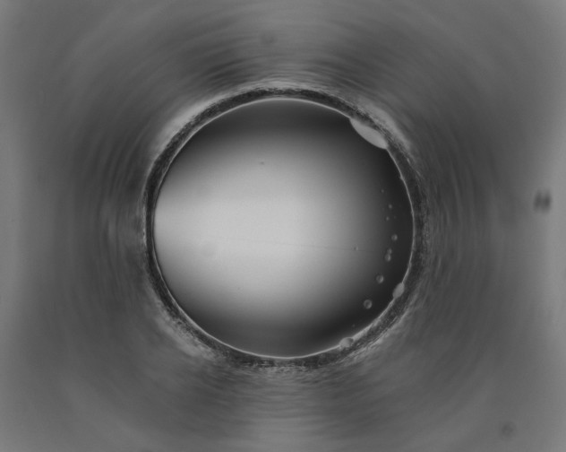X0000090720934200708031457