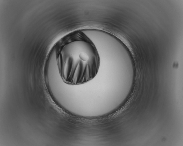 X0000090720936200708031457