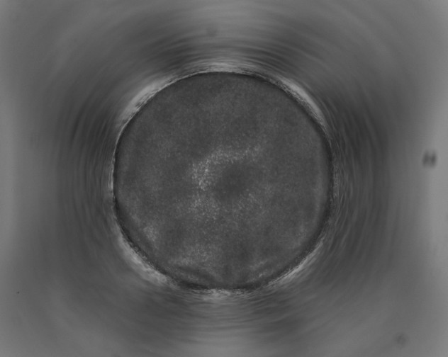 X0000090720938200708031457