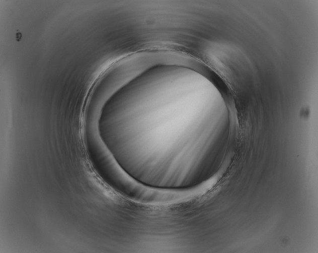 X0000090720940200708031457