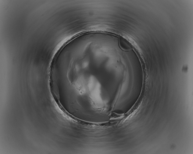 X0000090720941200708031457