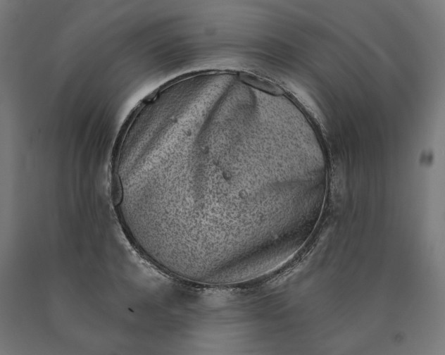 X0000090720944200708031457