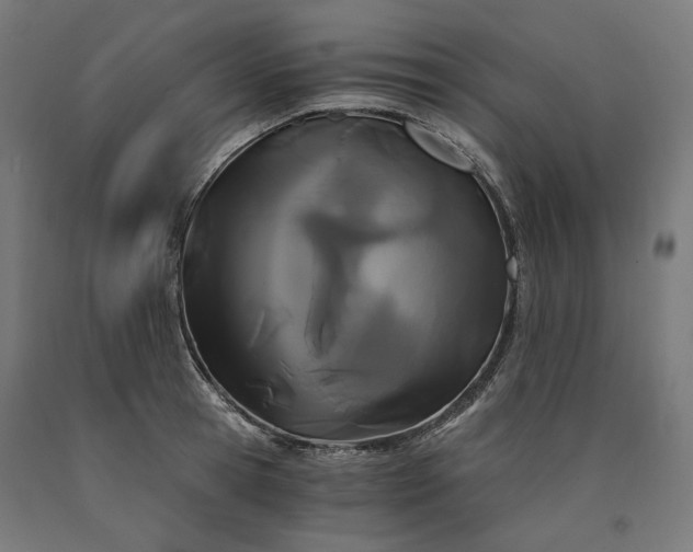 X0000090720945200708031457