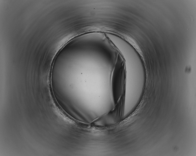 X0000090720946200708031457