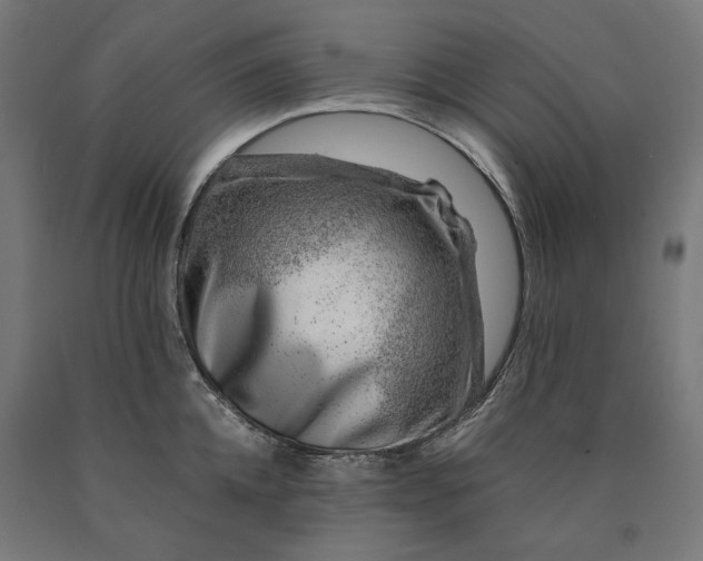 X0000090720952200708031458