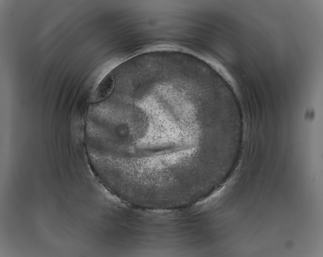 X0000090720953200708031458