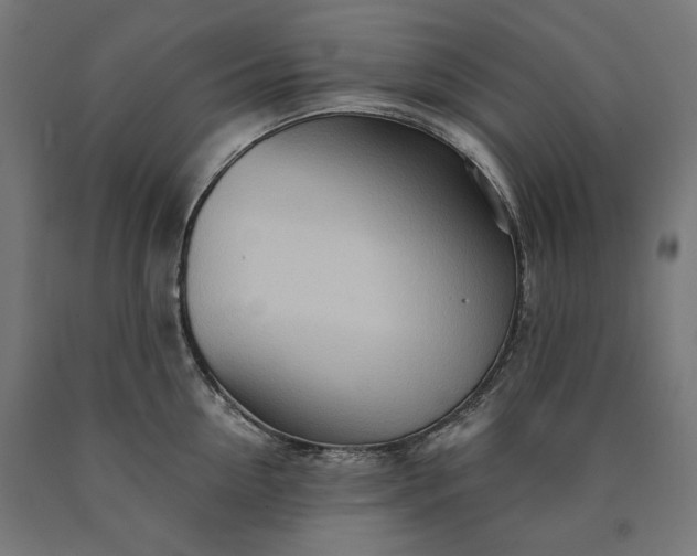 X0000090720954200708031458