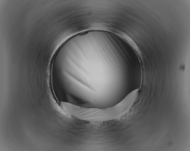 X0000090720955200708031458