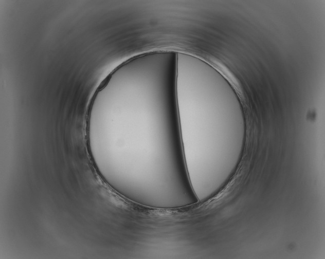 X0000090720956200708031458