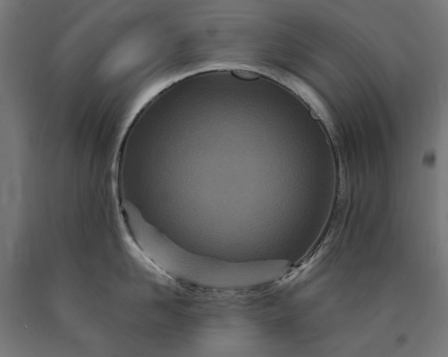 X0000090720958200708031458