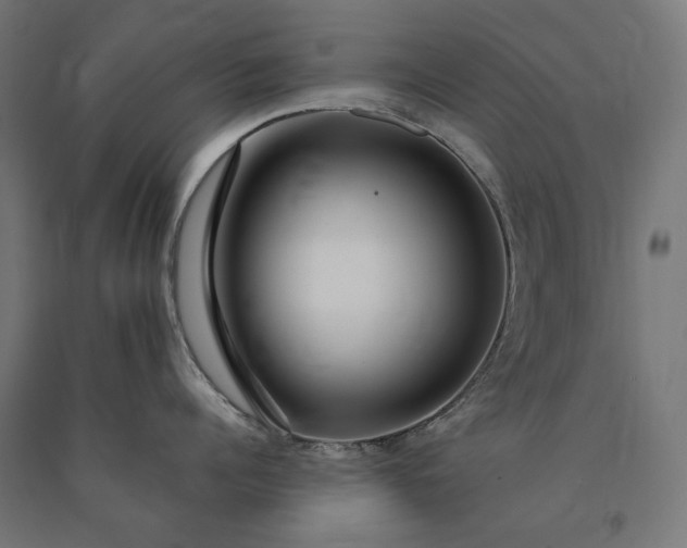 X0000090720960200708031458