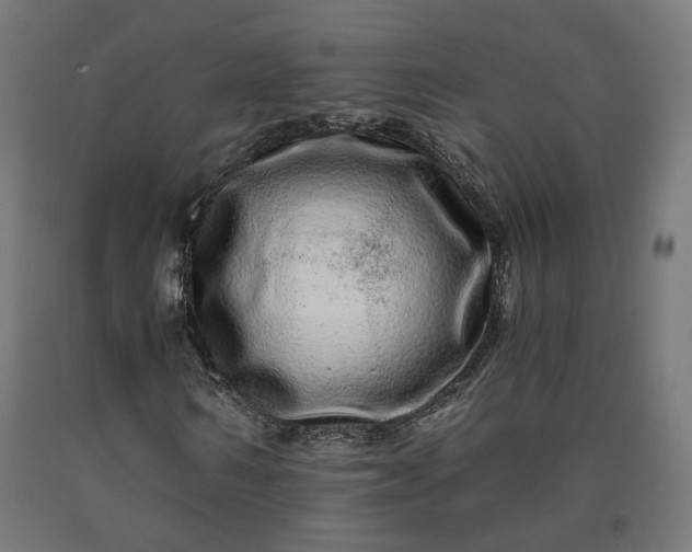 X0000090720962200708031457