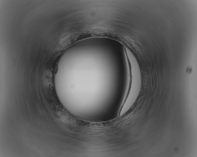 X0000090720964200708031457