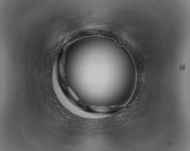 X0000090720965200708031457