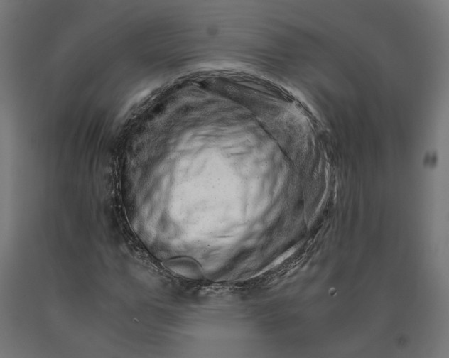 X0000090720967200708031457