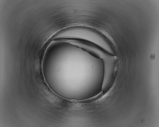 X0000090720969200708031457