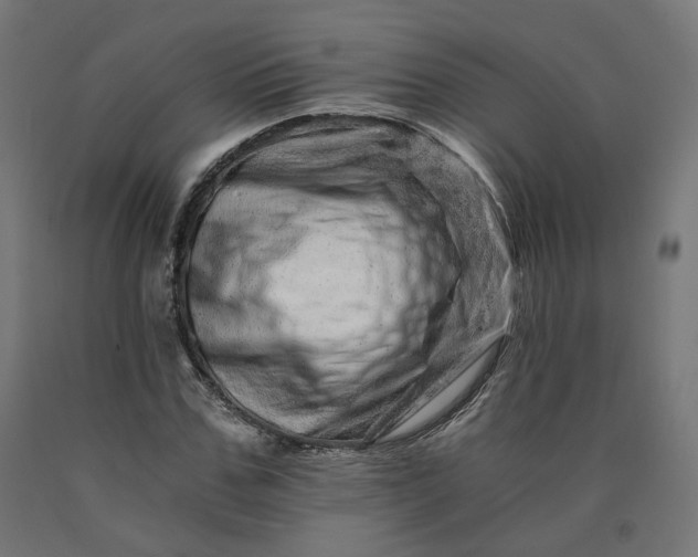 X0000090720971200708031457