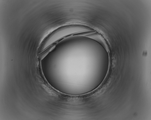 X0000090720973200708031457