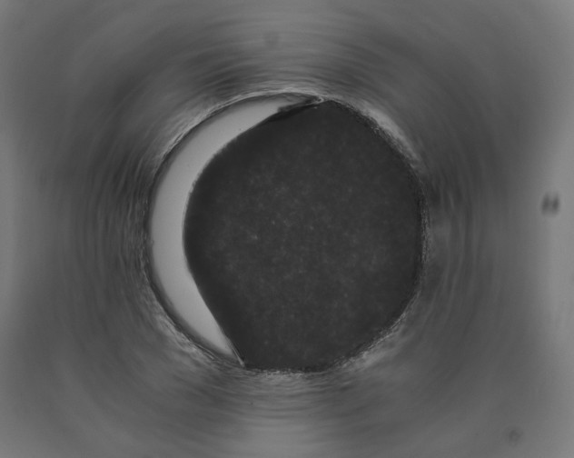 X0000090720977200708031457