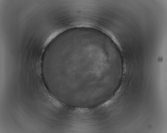 X0000090720978200708031457