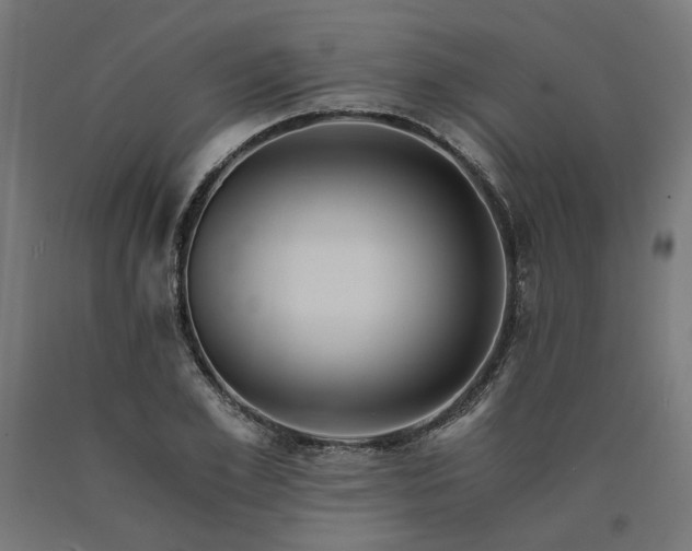 X0000090720981200708031457
