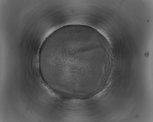 X0000090720982200708031457