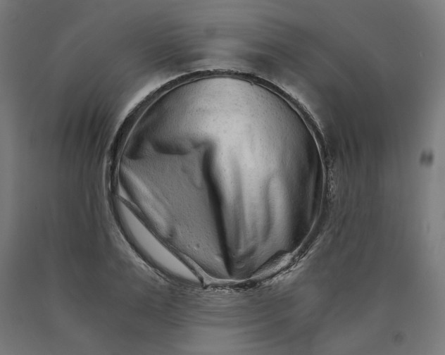 X0000090720983200708031457