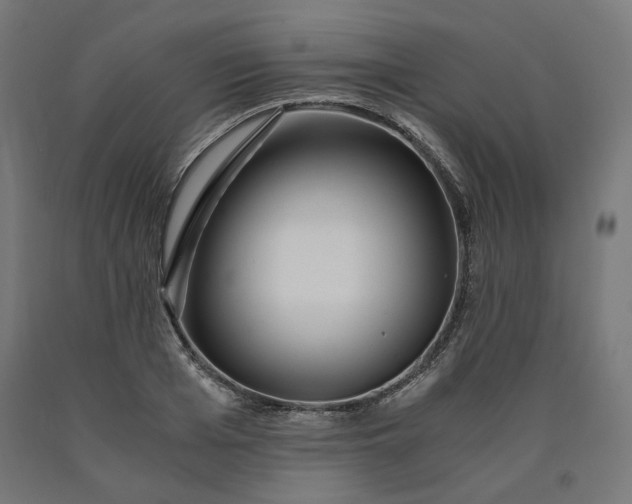 X0000090720985200708031457