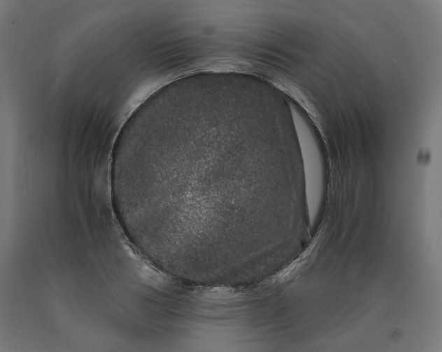 X0000090720986200708031457
