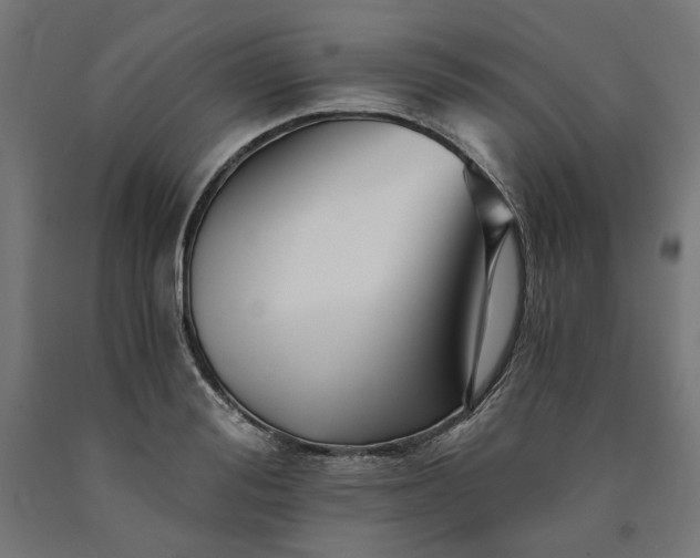 X0000090720988200708031457