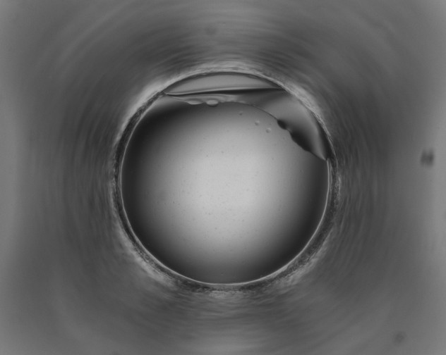 X0000090720989200708031457