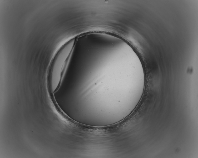 X0000090720991200708031457