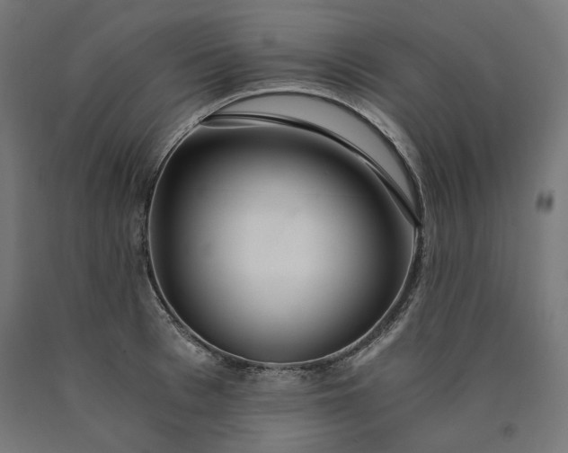 X0000090720993200708031457