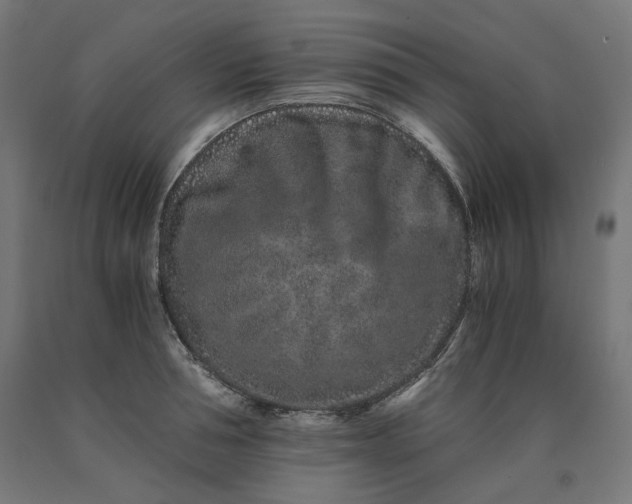 X0000090720994200708031457