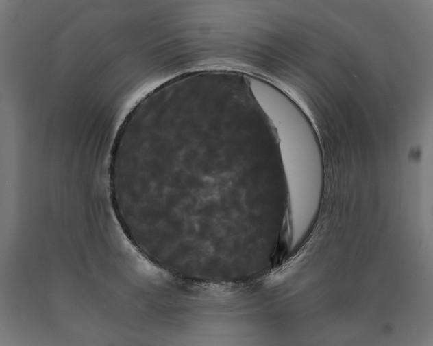 X0000090720995200708031456
