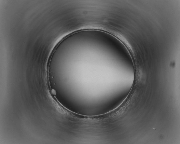 X0000090720996200708031456