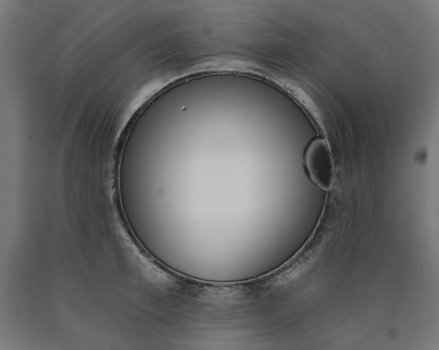 X0000090720997200708031456