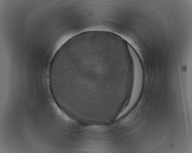 X0000090720998200708031456