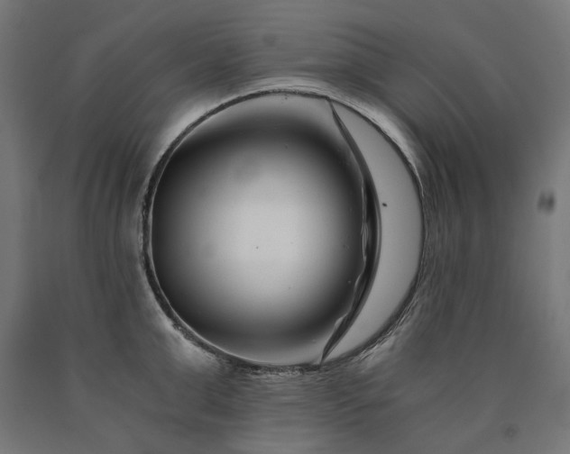 X0000090720999200708031456